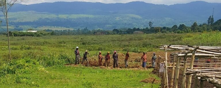 L&rsquo;AADC-RDC inspecte son site agricole de Bushumba : Renforcer la résilience alimentaire et lutter contre la malnutrition au Sud-Kivu